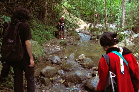 Agroecological farm tour at El Salado