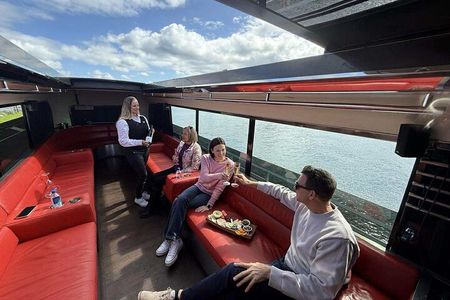 Auckland Scenic City TourTasting NZ Wines + Food onboard the bus