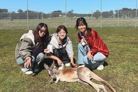 Newcastle: Animal Lovers Tour - Kangaroos, Dolphins & more!