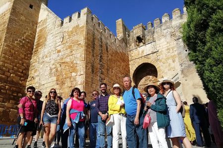 Carmona and Necropolis: Guided Day Tour from Seville