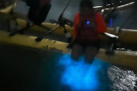 Bioluminescent Bay Chiliboats Waterbike Tour in La Parguera