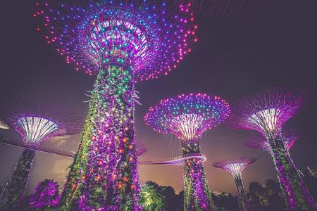 Singapore River Cruise, Night Garden Rhapsody, Spectra Light Tour