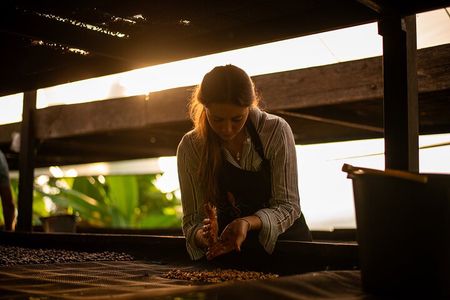 Coffee Tour from Bogota at La Palma Plantation and El Tucan