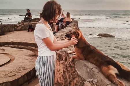  Galle, Bentota, Maadu River Curd at Sunset Day Trip from Colombo