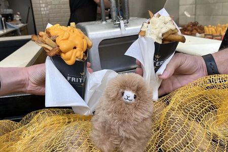 Antwerp’s Flavors Private Guided Tour with Tastings 