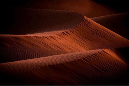 Doha Night Desert Safari Stargazing Camel Ride and Dune Bashing