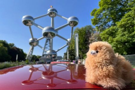 Private Guide Walking Tour in Brussels with 4 Tastings