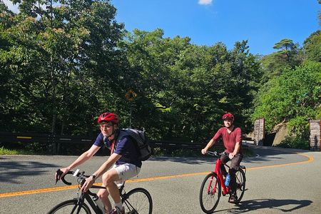 Osaka E-bike Adventure: Minoh Falls and Katsuoji Temple