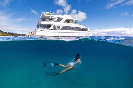 Dolphin & Tangalooma Wrecks Snorkel Cruise & Lunch - Brisbane