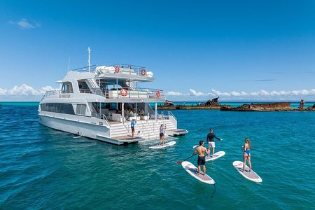 Dolphin & Tangalooma Wrecks Snorkel Cruise & Lunch - Gold Coast 