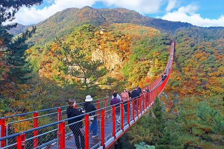 Explore DMZ from Seoul +(optional) Gondola/Red Suspension Bridge