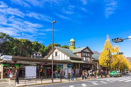 Meiji Shrine & Harajuku Walking Tour 　Tradition Meets Pop Culture