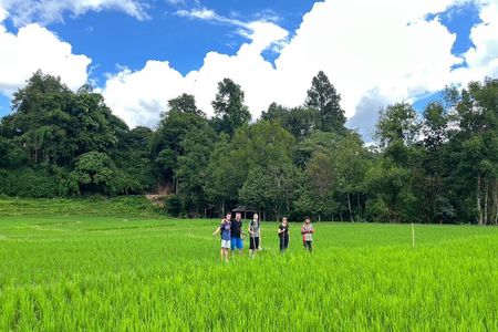 1 Day Trek and Bamboo Rafting Tour in Chiang Mai
