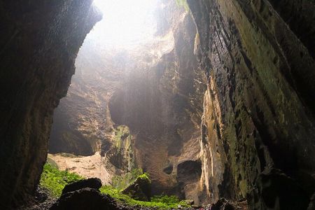 Sandakan: Gomantong Cave Echoes and Kinabatangan Cruise