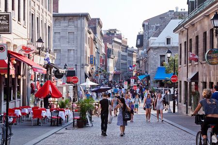 Montreal Premium Driving Tour with River Cruise and Notre Dame