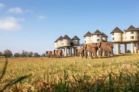 2 Days 1 Night Saltlick Lodge Private Safari from Diani Beach