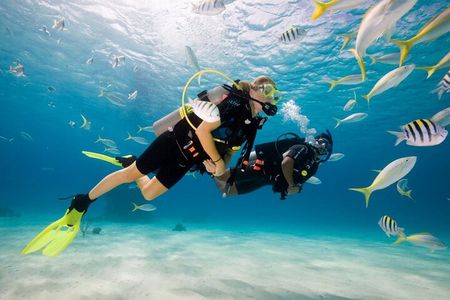 Ölüdeniz Half Day Scuba Diving Experience