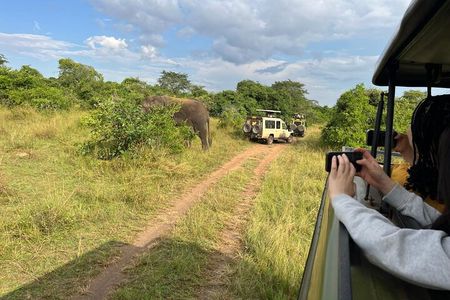 1 Day Akagera National Park Private Safari