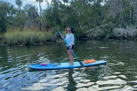 Crystal River: Three Sisters Paddleboarding and Snorkeling Tour