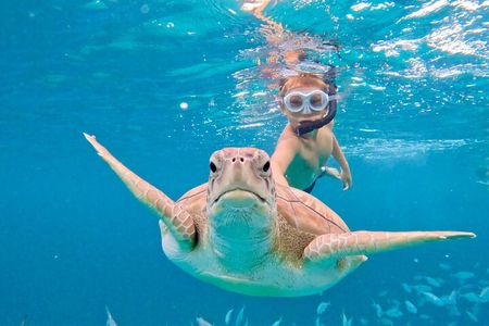 Catamaran snorkel & sail in Carlisle bay (small group max 8)