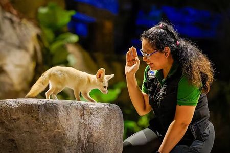 Singapore Zoo and Night Safari Tickets