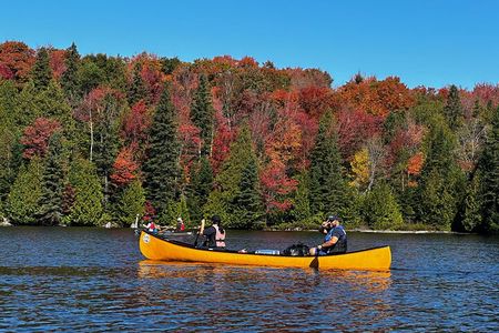 Algonquin Park 3-Day Camping & Canoeing Adventure