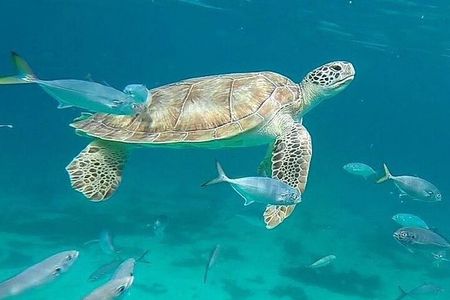 Beach hopping Private Jeep Tour with Champagne included