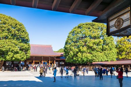 Tokyo Private Guided 1/2-Day Walking Subway Tour English guide
