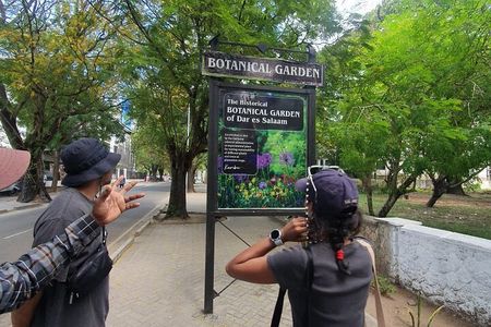 Daressalaam city sightseeing private tour