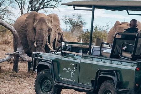 Amazing Full Day Kruger National Park Big 5 Safari