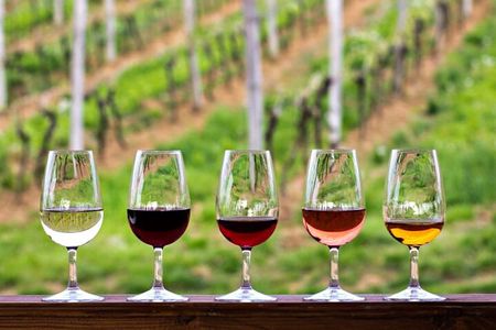  Franschhoek Private Car Tour from Cape Town