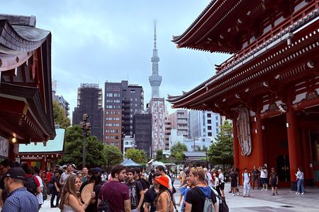 Tokyo Private Half-Day Tour by Car with Local Guide