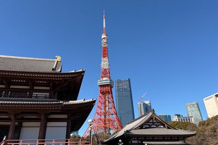 Tokyo Private Sightseeing Tour by Car with Local Guide