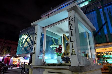 Garibaldi Nights Tour