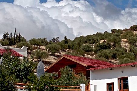 Archaeological and culinary treasure and olive oil tasting