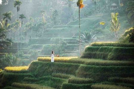 Ubud All-Inclusive Private Day Tour