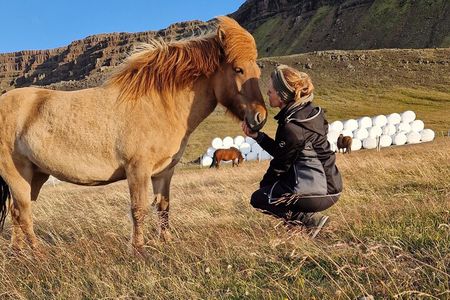 Private Farm Experience & Silver Circle Day Tour in West Iceland