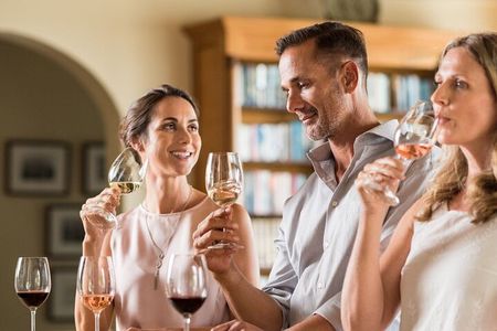 Cape Winelands and Cheetah Encounter Full Day Tour