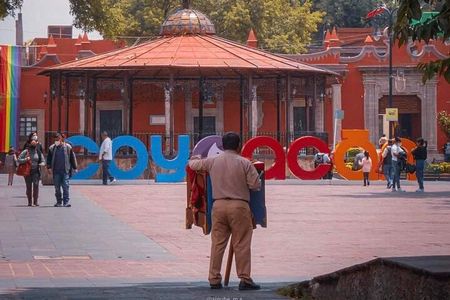 Mexico City : Frida Kahlo, Xochimilco & Coyoacán Tour