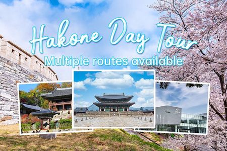 Lake Ashi Hakone Owakudani Kowakien with daily chauffeur