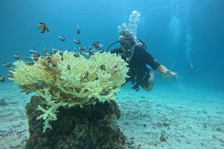 Phuket Racha PADI Discover Scuba Diving 2 Dives and GoPro