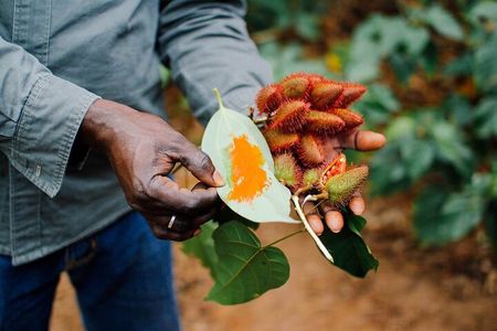 Experince Spice Tour by Bike With Swahil Lunch