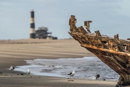 Namib Desert: Pink Salt Lakes, Seal Colony, Moon Valley and Dunes