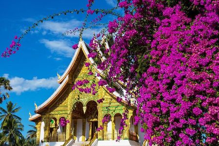 Luang Prabang Temples and Royal Palace Museum Private Tour