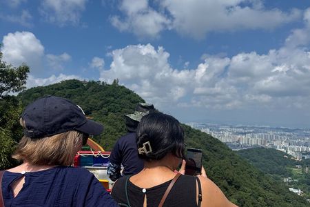 Gwangju City Tour : Where old meets new (private)