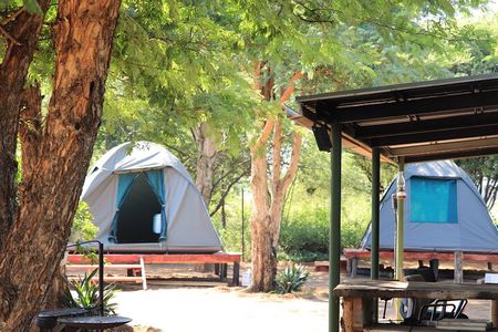 2 Day Tlou Tented Safari Camp in Pilanesberg 