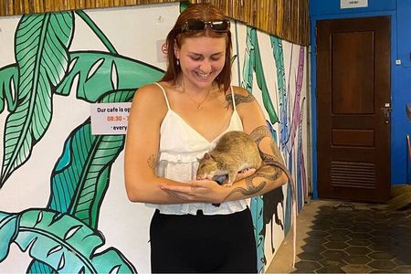 War Museum, Killing Field, and APOPO Hero RATs Tour