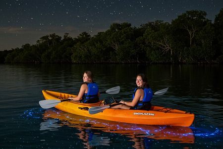 Full Clear Kayak Bioluminescent Experience Vieques, Puerto Rico