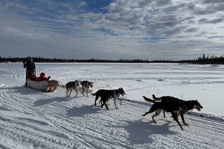 Traditional Dog Sledding Adventure in Yellowknife
