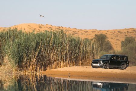 Dubai: Desert Conservation Drive with Breakfast at Al Maha Resort
